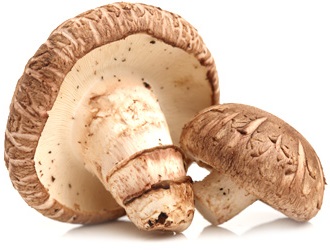 shiitake