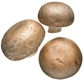 varieties-cremini